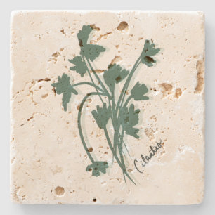 Dessous-de-verre En Pierre Cilantro Herbe Jardin Coriandre Main tirée