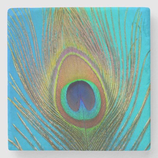 Dessous-de-verre En Pierre Close up of peacock feather (Devant)