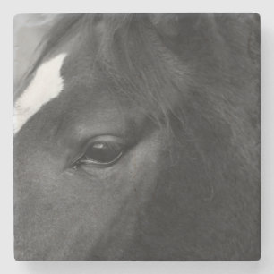 Dessous-de-verre En Pierre Coastère de cheval