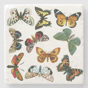 Dessous-de-verre En Pierre Collage des papillons de nuit et des papillons de