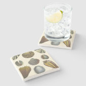 Dessous-de-verre En Pierre Collection Conchology (Côté)