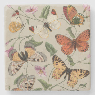 Dessous-de-verre En Pierre Collection de la papillon Moth Nature Dessin