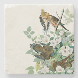 Dessous-de-verre En Pierre Colombe de tortue de la Caroline, oiseaux de