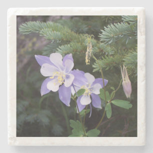 Dessous-de-verre En Pierre Colorado Columbine Dessous de verre en marbre de 4
