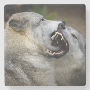Dessous-de-verre En Pierre Combat de loup