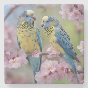 Dessous-de-verre En Pierre "Compagnons Vibrants : Budgies bleues et jaunes"