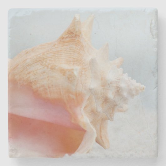 Dessous-de-verre En Pierre Conque Shell | la Floride (Devant)