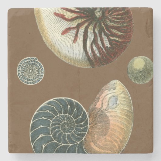 Dessous-de-verre En Pierre Coque de cacao (Devant)