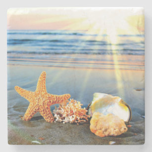 Dessous-de-verre En Pierre Coquillages marins et étoiles de mer sur la plage