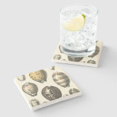 Dessous-de-verre En Pierre Coquillages uniquement formés (Côté)