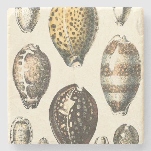 Dessous-de-verre En Pierre Coquillages uniquement formés (Devant)