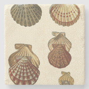 Dessous-de-verre En Pierre Coquilles antiques crépitées