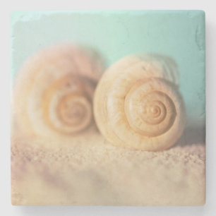 Dessous-de-verre En Pierre Coquilles de Nautilus sur la plage