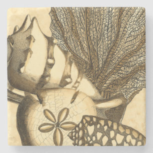 Dessous-de-verre En Pierre Coquilles neutres et collection de corail