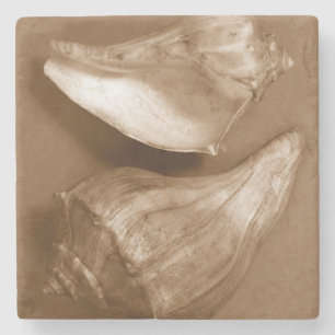 Dessous-de-verre En Pierre Coquilles sensuelles