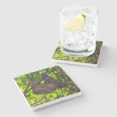 Dessous-de-verre En Pierre Costa Rica - Happy Lazy Sloth, Antonio Manuel NP (Côté)