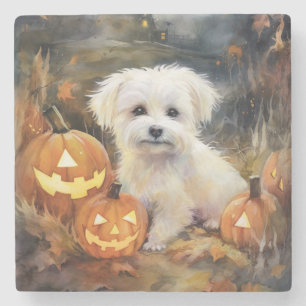 Dessous-de-verre En Pierre Coton De Tulear Halloween avec citrouilles effraya