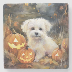 Dessous-de-verre En Pierre Coton De Tulear Halloween Avec Peur Citrouille