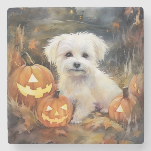 Dessous-de-verre En Pierre Coton De Tulear Halloween Avec Peur Citrouille (Devant)
