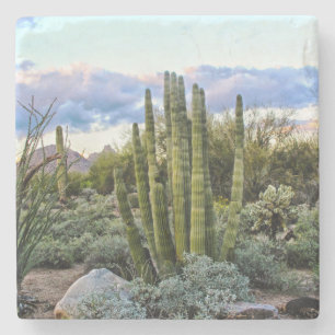Dessous-de-verre En Pierre Coucher de soleil succulent de Scottsdale