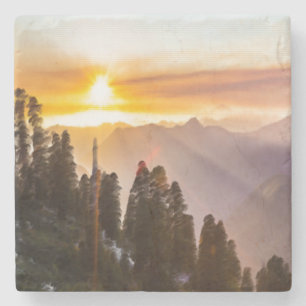 Dessous-de-verre En Pierre Coucher de soleil sur la forêt photo