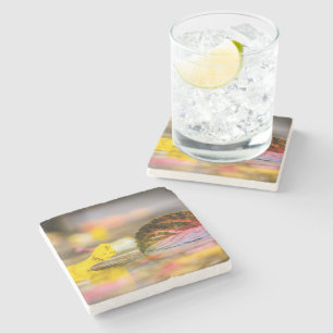 Dessous-de-verre En Pierre Couleurs d'automne