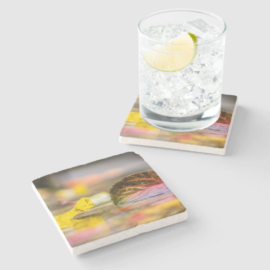 Dessous-de-verre En Pierre Couleurs d'automne (Côté)