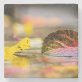 Dessous-de-verre En Pierre Couleurs d'automne (Devant)