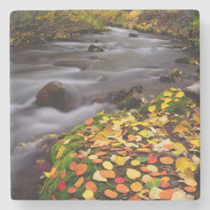 Dessous-de-verre En Pierre Couleurs d'automne le long de McGee Creek