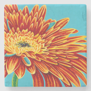 Dessous-de-verre En Pierre Couleurs éclatées I