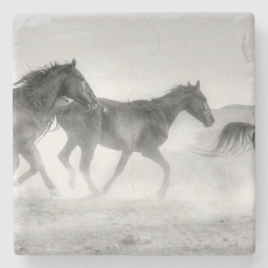 Dessous-de-verre En Pierre Course de mustang (Devant)