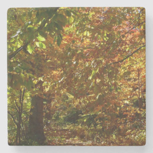 Dessous-de-verre En Pierre Couvert de feuilles d'automne II Photographie d'au