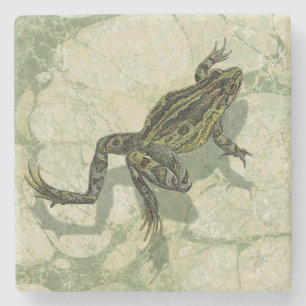 Dessous-de-verre En Pierre Crapaud Swinning dans l'eau