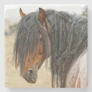 Dessous-de-verre En Pierre Crinière de cheval