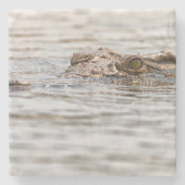 Dessous-de-verre En Pierre Crocodile du Nil (Devant)