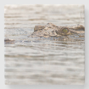 Dessous-de-verre En Pierre Crocodile du Nil