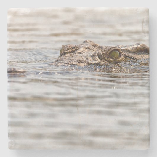 Dessous-de-verre En Pierre Crocodile du Nil (Devant)