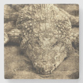 Dessous-de-verre En Pierre Crocodile Vintage (Devant)