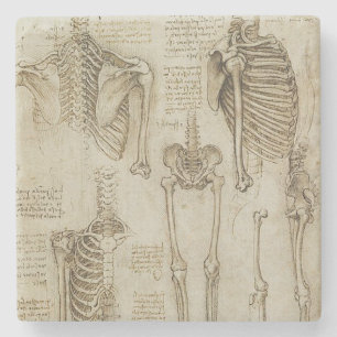 Dessous-de-verre En Pierre Croquis squelettiques humains de l'anatomie de da