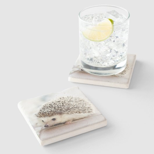 Dessous-de-verre En Pierre Cute Baby Hedgehog Photo (Côté)