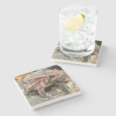 Dessous-de-verre En Pierre Cute Southern Toad Close Up (Côté)