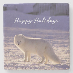 Dessous-de-verre En Pierre Cute White Arctic Fox neige hiver Photographie