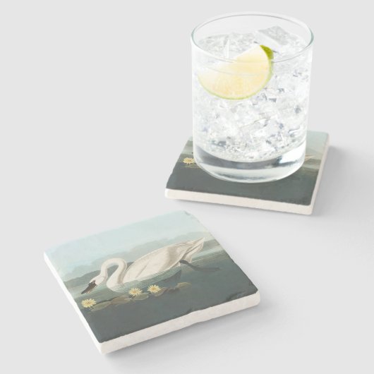 Dessous-de-verre En Pierre cygne audubon cygnes d'eau blanche (Côté)