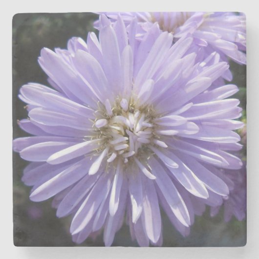 Dessous-de-verre En Pierre Cyrène (Devant)