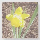 Dessous-de-verre En Pierre Daffodique de printemps jaune (Devant)
