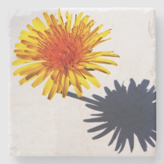 Dessous-de-verre En Pierre Dandelion and Shadow dessous de verre (Devant)