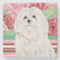 Della Rose Maltese