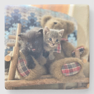 Dessous-de-verre En Pierre Des chatons cuts sans ours - Merlin et Guinevere -