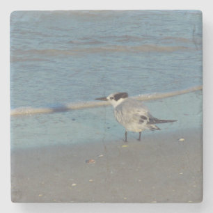 Dessous-de-verre En Pierre Dessous de verre aux oiseaux de plage