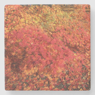 Dessous-de-verre En Pierre Dessous de verre Bliss d'automne